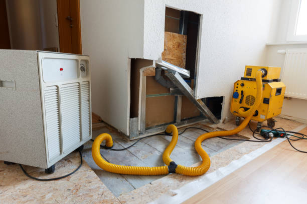 Mold Remediation for Vacation Homes in Franklin, MI