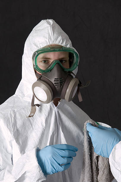 Trusted Franklin, MI Mold Removal Experts